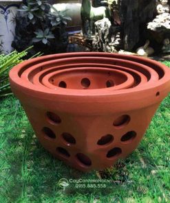 Chậu đất nung vát góc trồng lan