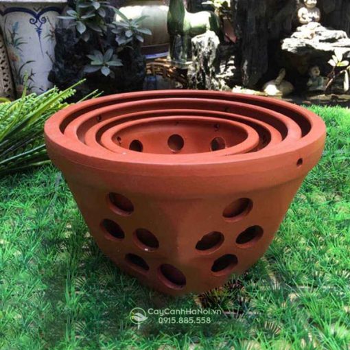 Chậu đất nung vát góc trồng lan
