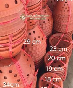 Chậu đất nung vát tròn trồng lan