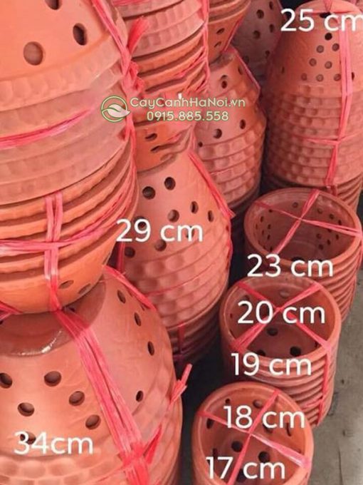 Chậu đất nung vát tròn trồng lan