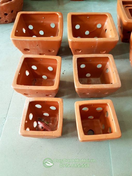 Chậu gốm vuông trồng lan Bát Tràng