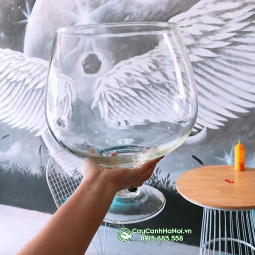 Chậu ly thủy tinh làm hồ nuôi cá