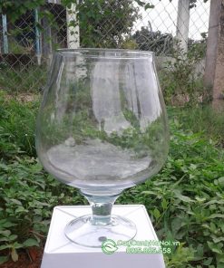 Chậu thủy tinh dáng ly cao