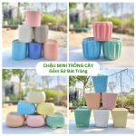 Chậu trồng cây mini gốm Bát Tràng