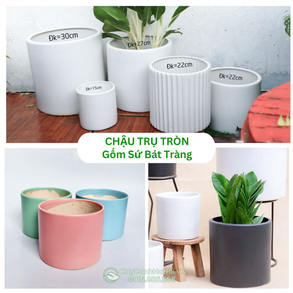 Chậu trụ tròn gốm sứ Bát Tràng