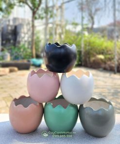 Chậu trứng mini gốm sứ Bát Tràng