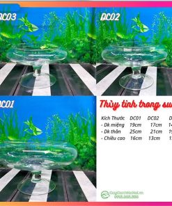 Kích thước chậu thủy tinh ly thấp
