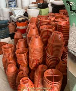 Cửa hàng bán chậu đất nung trồng lan tại Hà Nội