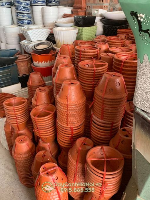 Cửa hàng bán chậu đất nung trồng lan tại Hà Nội