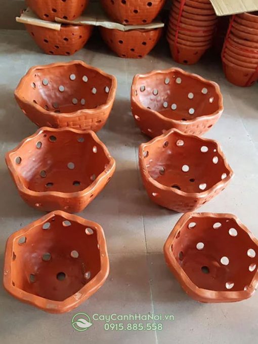 Địa chỉ bán chậu đất nung trồng lan tại Hà Nội