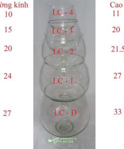 Kích thước bình thủy tinh dạng ly