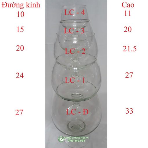 Kích thước bình thủy tinh dạng ly
