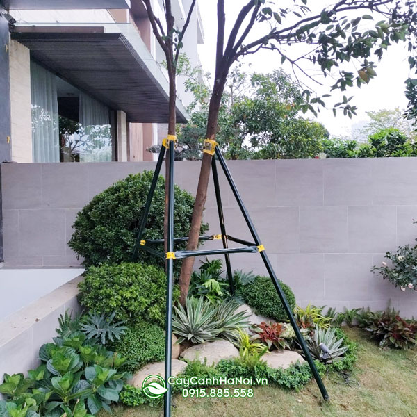 Bán bộ khung thép chống cây xanh tại Hà Nội