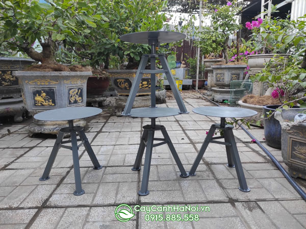 Cửa hàng bán bàn xoay cố định làm cây bonsai