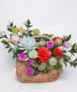 giỏ hoa sen đá dạng túi xách làm quà tặng ngày quốc tế phụ nữ