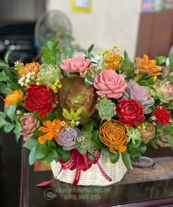 Giỏ hoa sen đá món quà ý nghĩa ngày quốc tế phụ nữ