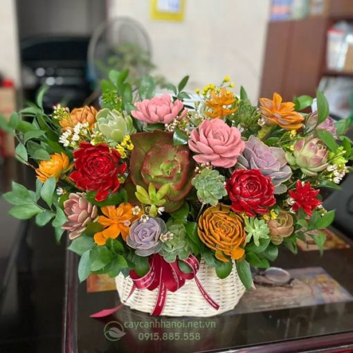 Giỏ hoa sen đá món quà ý nghĩa ngày quốc tế phụ nữ