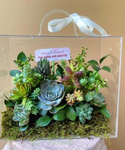 giỏ hoa sen đá mừng ngày quốc tế phụ nữ bằng mica