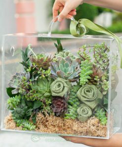 giỏ sen đá dạng vali xách làm quà tặng 8-3