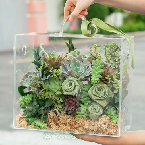 giỏ sen đá dạng vali xách làm quà tặng 8-3