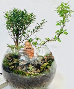 Tiểu cảnh tiểu diệp xích nam để bàn đẹp