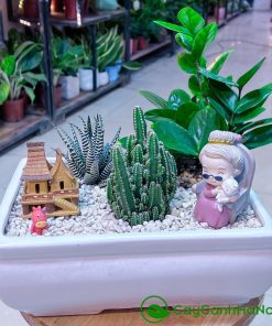 Kim tiền được xem là biểu tượng của sự giàu sang, tài lộc