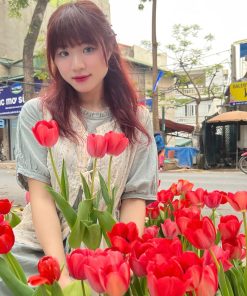 Chăm sóc đúng cách giúp hoa cảnh duy trì được vẻ đẹp lâu hơn