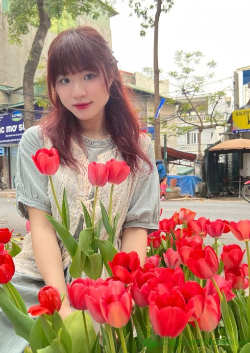 Chăm sóc đúng cách giúp hoa cảnh duy trì được vẻ đẹp lâu hơn