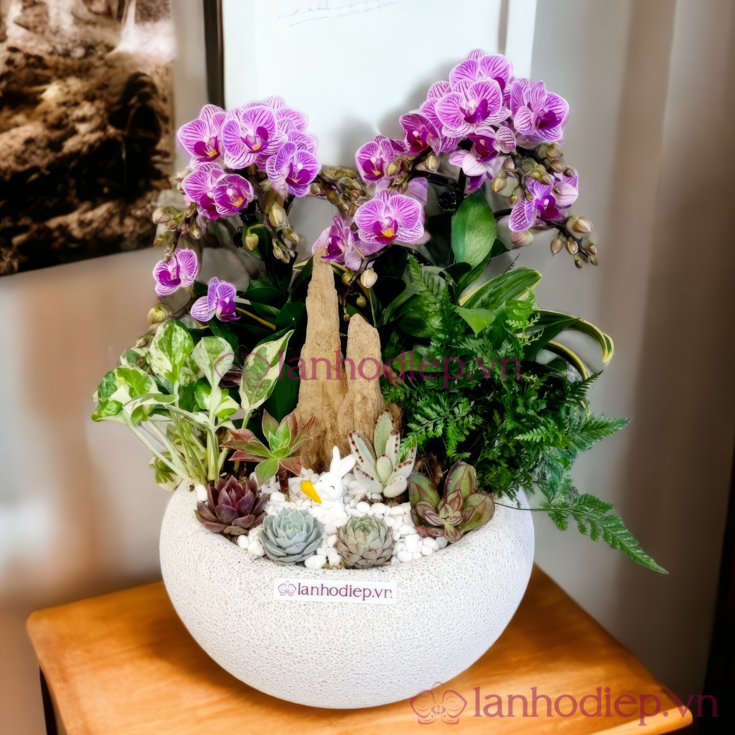 Lan hồ điệp yêu cầu điều kiện chăm sóc khá đặc biệt