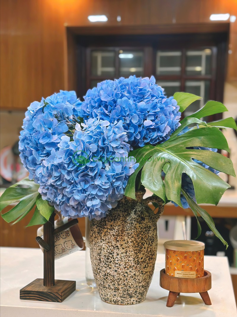 Cửa hàng có sẵn các loại cây mini để bàn, cây phong thủy và cây hoa đẹp