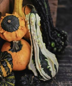 Bí ngô hồ lô độc đáo trang trí Halloween