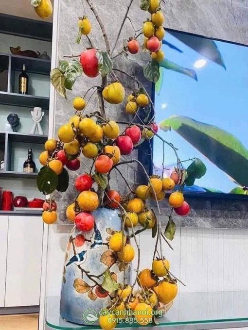 Bình cắm cành hồng quả đẹp