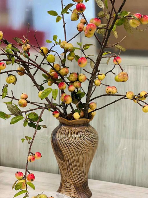 Bình cành quả táo mèo mang đến may mắn tài lộc