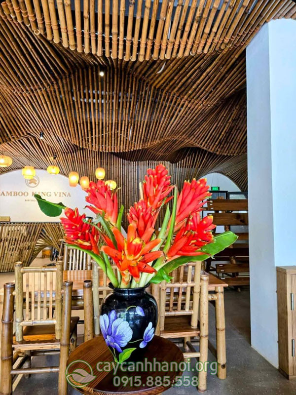 Bình hoa đỏ chuối rừng mang đến vẻ đẹp sang trọng
