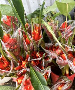Bó hoa chuối rừng đỏ