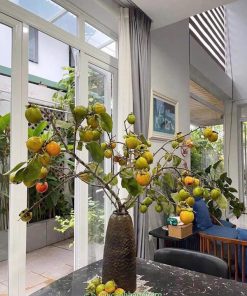 Cách cắm cành hồng quả