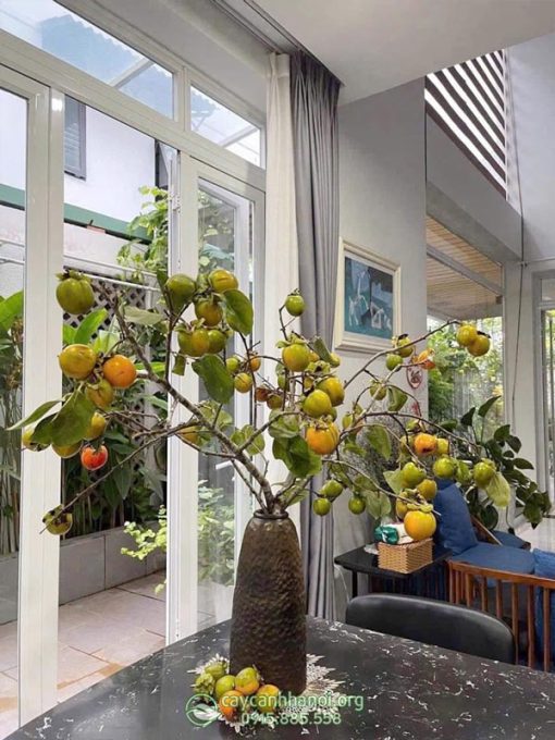Cách cắm cành hồng quả