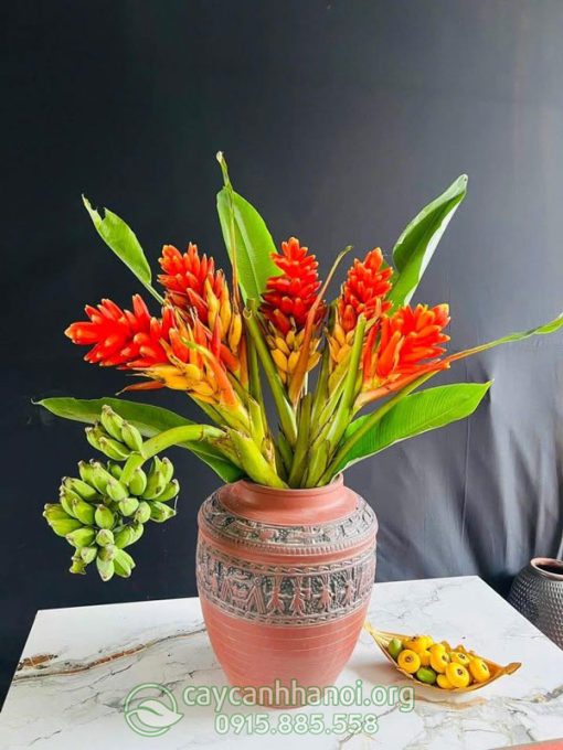 Cách cắm hoa chuối rừng đẹp