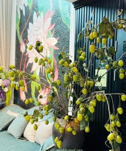 Cành hồng quả cắm bình chưng tết đoàn viên