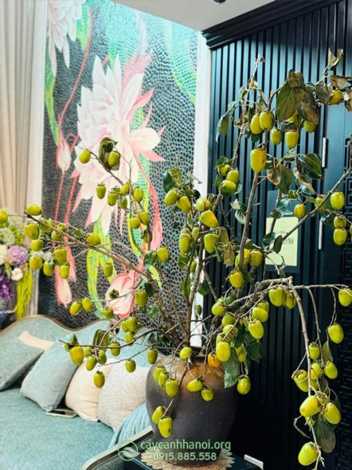 Cành hồng quả cắm bình chưng tết đoàn viên
