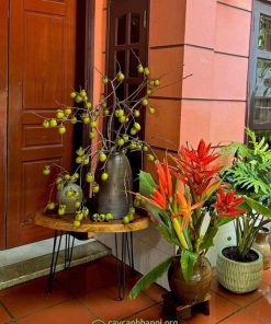 Cành hồng quả cắm bình mang đến vẻ đẹp mộc mạc