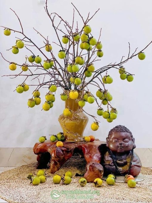 Cành hồng quả thật cắm bình