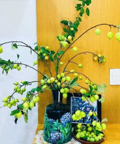 Cành quả táo mèo decor quán cafe đẹp