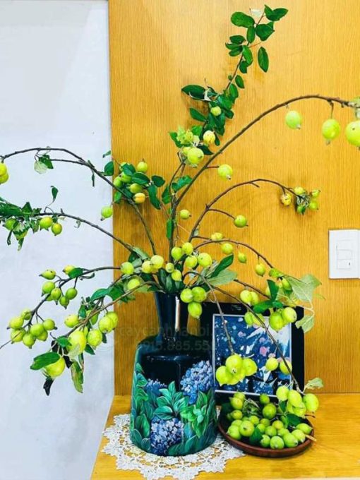 Cành quả táo mèo decor quán cafe đẹp