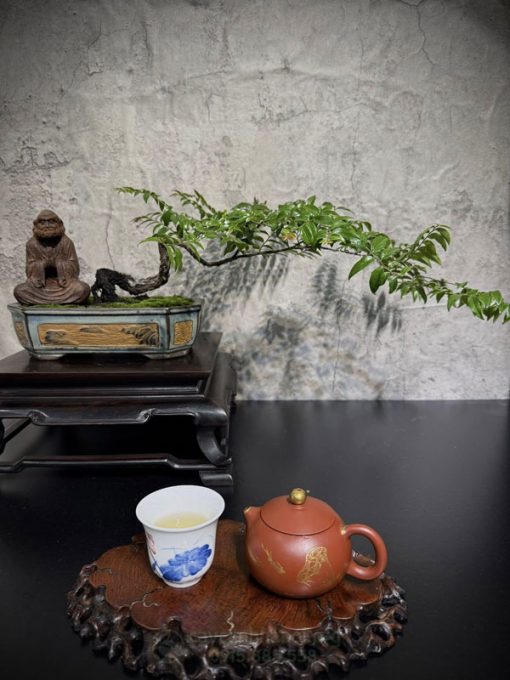 Cây cảnh muội hồng trang trí nội thất