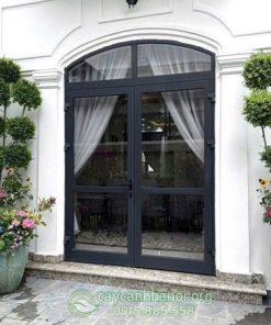 Cây thủy lạp Privet mang đến vể đẹp sang trọng