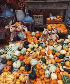 Cửa hàng bán quả bí ngô trang trí Halloween tại Hà Nội
