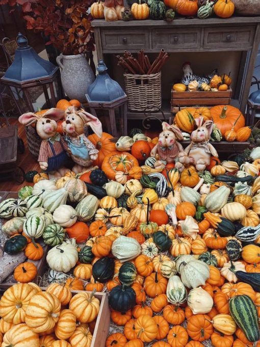 Cửa hàng bán quả bí ngô trang trí Halloween tại Hà Nội