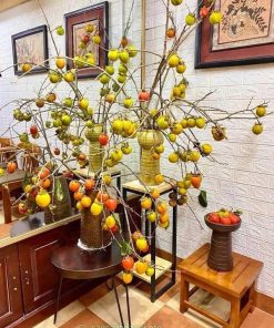 Đặc điểm cành hồng