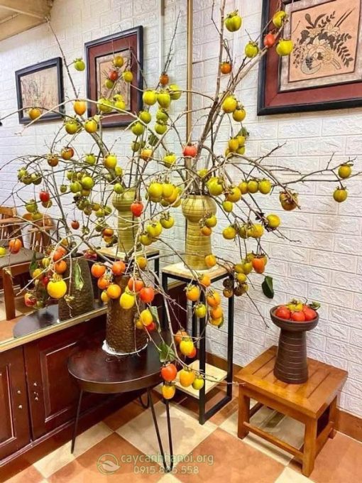 Đặc điểm cành hồng